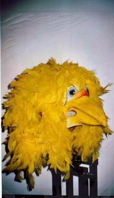 ../Images/huhn.jpg