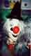 Thumbs/tn_clown_mit_silbernen_haaren.jpg