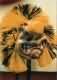 Thumbs/tn_gelbschwarzer_waggis_127.jpg