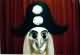 Thumbs/tn_harlekin2.jpg