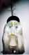 fotos/Thumbs/tn_pierrot_larve1.jpg