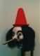 fotos/Thumbs/tn_pinnochio_030.jpg